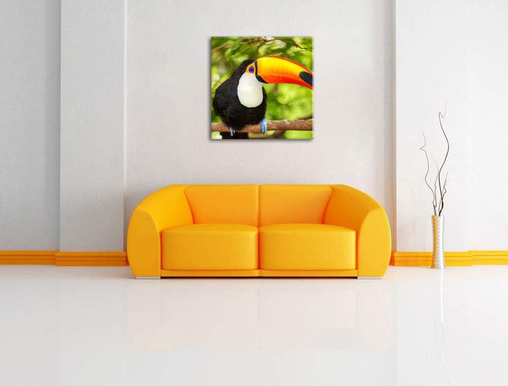 Exotischer Tukan, Format: 70x70 auf Leinwand, XXL riesige Bilder fertig gerahmt mit Keilrahmen, Kuns