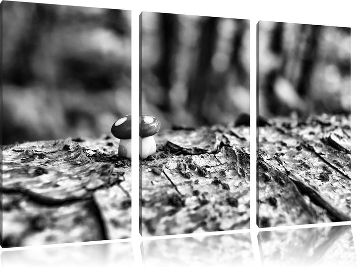 Pixxprint Kleiner Fliegenpilz auf Baumstamm als Leinwandbild/Grösse: 3 Teilig (120x80) / Wandbild/Ku