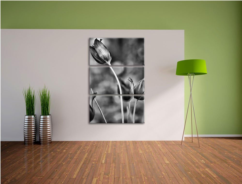 Pixxprint Tulpen im Abendlicht als Leinwandbild/Grösse: 3 Teilig (120x80) cm/Wandbild/Kunstdruck/fer