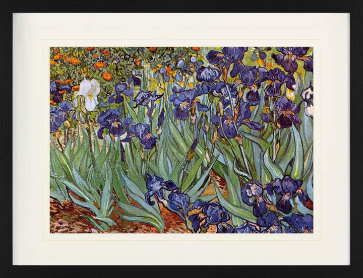 1art1 Vincent Van Gogh Poster Iris,1889 Gerahmtes Bild Mit Edlem Passepartout | Wand-Bilder | Im Bil