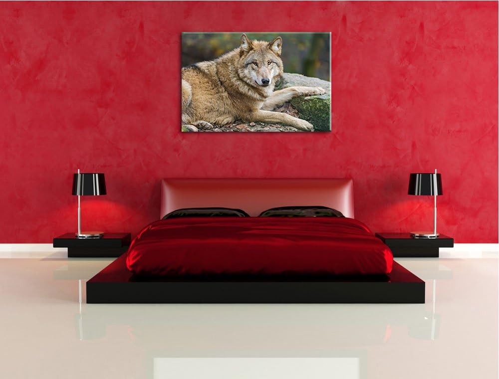 Pixxprint stolzer Wolf auf Stein auf Leinwand, XXL riesige Bilder fertig gerahmt mit Keilrahmen, Kun