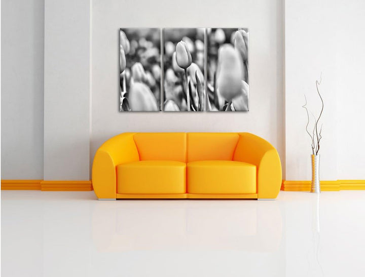 Pixxprint Gelbe Tulpen im Frühling als Leinwandbild/Grösse: 3 Teilig (120x80) cm/Wandbild/Kunstdruck