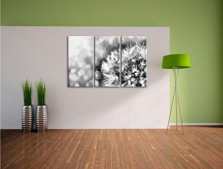 Pixxprint Monocrome, Zauberhafte Pusteblume 3-Teiler Leinwandbild 120x80 Bild auf Leinwand