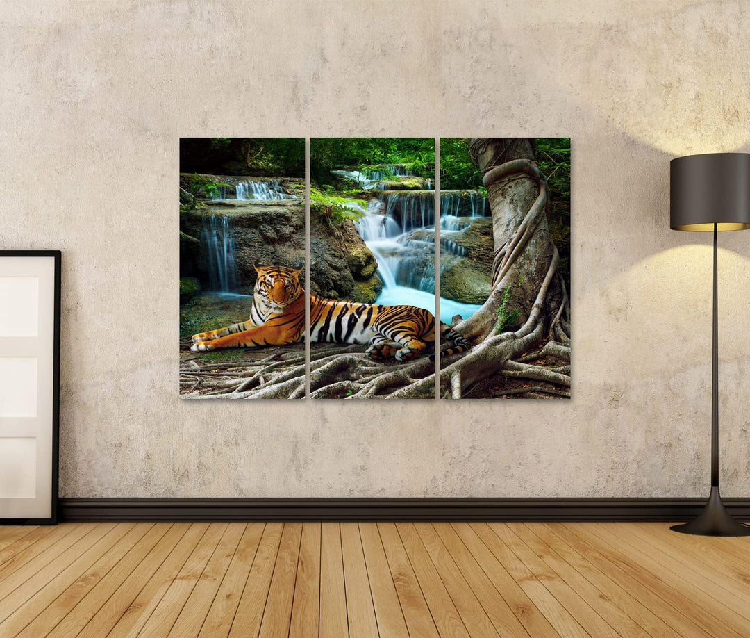 islandburner Bild auf Leinwand Indochina Tiger Raubkatze Panthera Tigris corbetti Wandbild Poster Ku