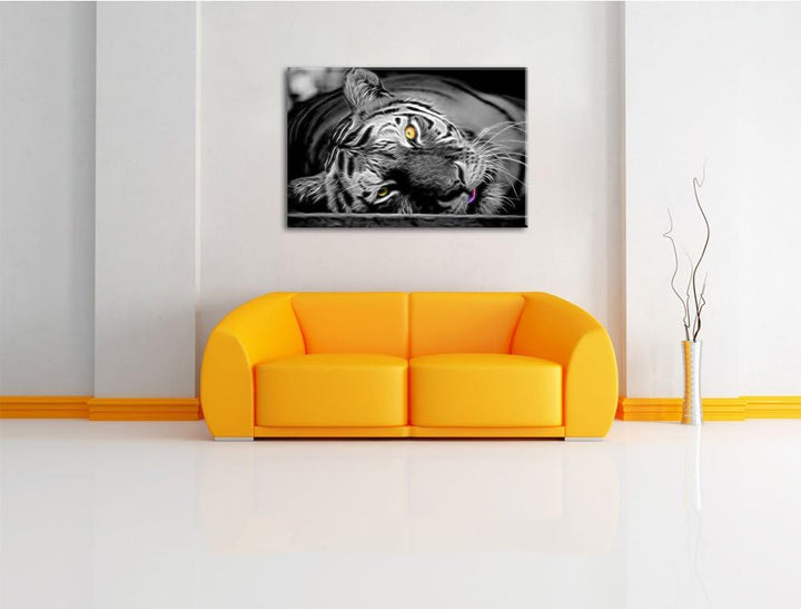 ruhender Tiger schwarz/weiss Deluxe Format: 100x70 cm auf Leinwand, XXL riesige Bilder fertig gerahm