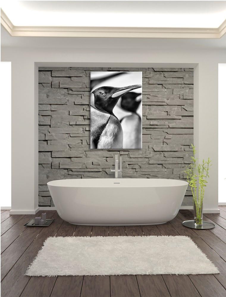 Monocrome, Pinguine, Format: 100x70 auf Leinwand, XXL riesige Bilder fertig gerahmt mit Keilrahmen,