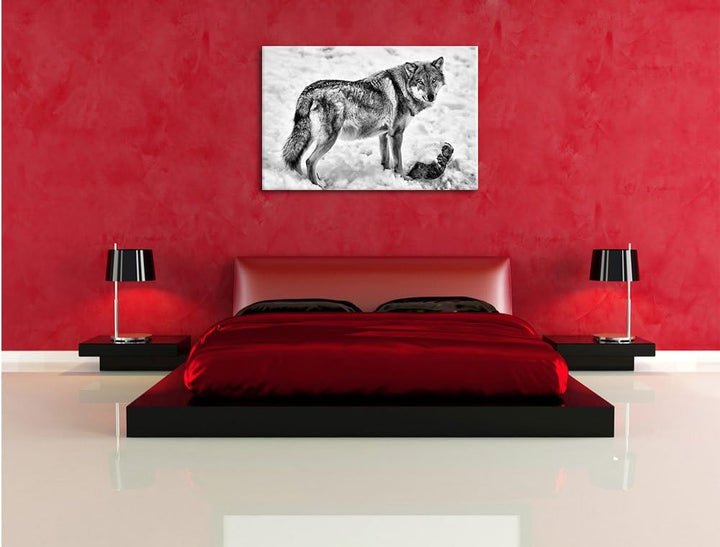 Pixxprint prächtiger Wolf im Schnee als Leinwandbild/Grösse: 100x70 / Wandbild/Kunstdruck/fertig bes