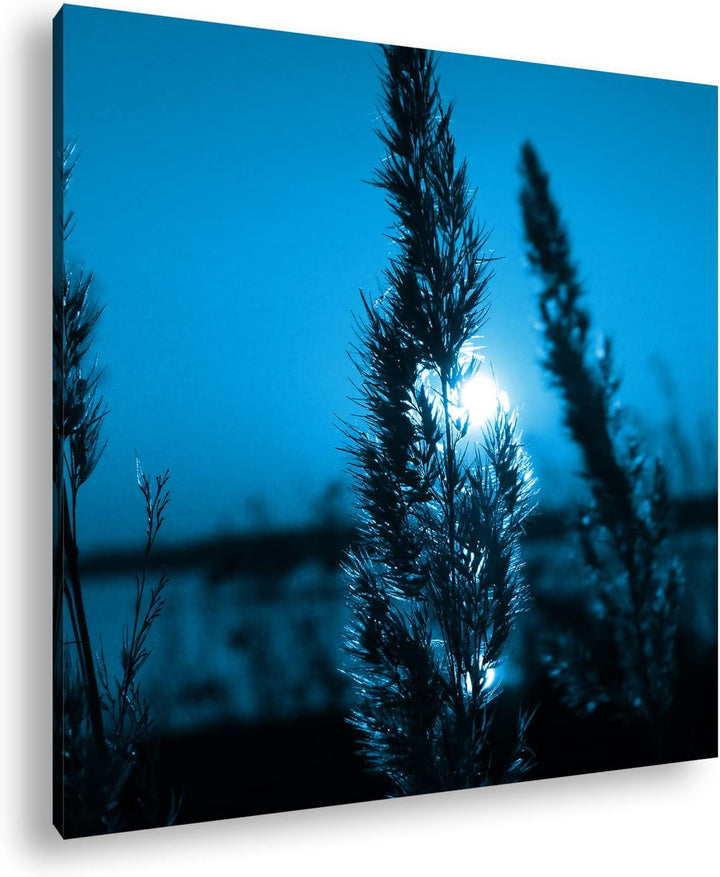 deyoli schöne Landschaft bei Sonnenuntergang Format: 60x60 Effekt: Monocrome Blau als Leinwandbild,