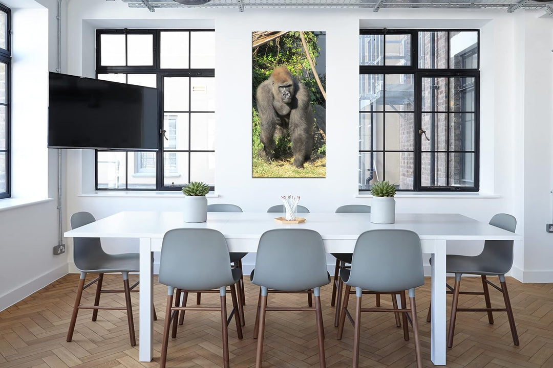 stolzer Gorilla Panorama 100x50 cm als Leinwandbild, Motiv fertig gerahmt auf Echtholzrahmen, Hochwe