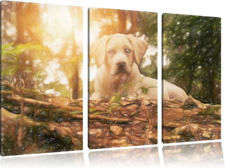 Pixxprint Hund im Wald bei Sonneuntergang / 3-Teilig/Gesamtmass 120cm Leinwandbild bespannt auf Holz