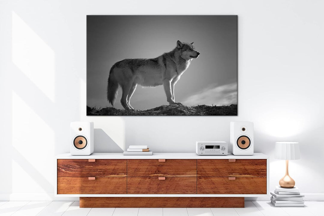 Der Wolf - das Raubtier des Waldes Format: 80x60 als Leinwand, Effekt: Schwarz&Weiss, Motiv fertig g