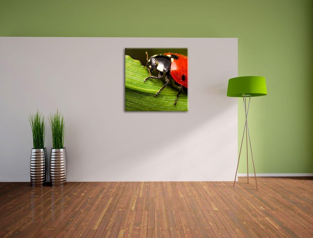 Pixxprint Marienkäfer in Detailaufnahme als Leinwandbild/Grösse: 70x70 cm/Wandbild/Kunstdruck/fertig