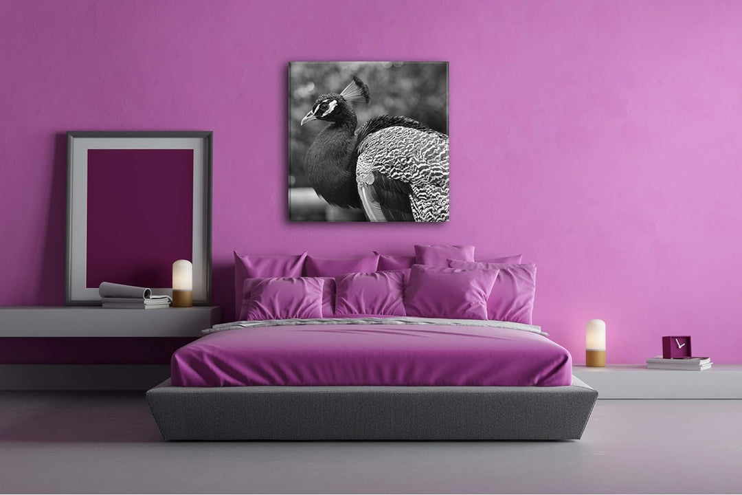 deyoli stolzer Pfau Format: 70x70 Effekt: Schwarz&Weiss als Leinwandbild, Motiv fertig gerahmt auf E