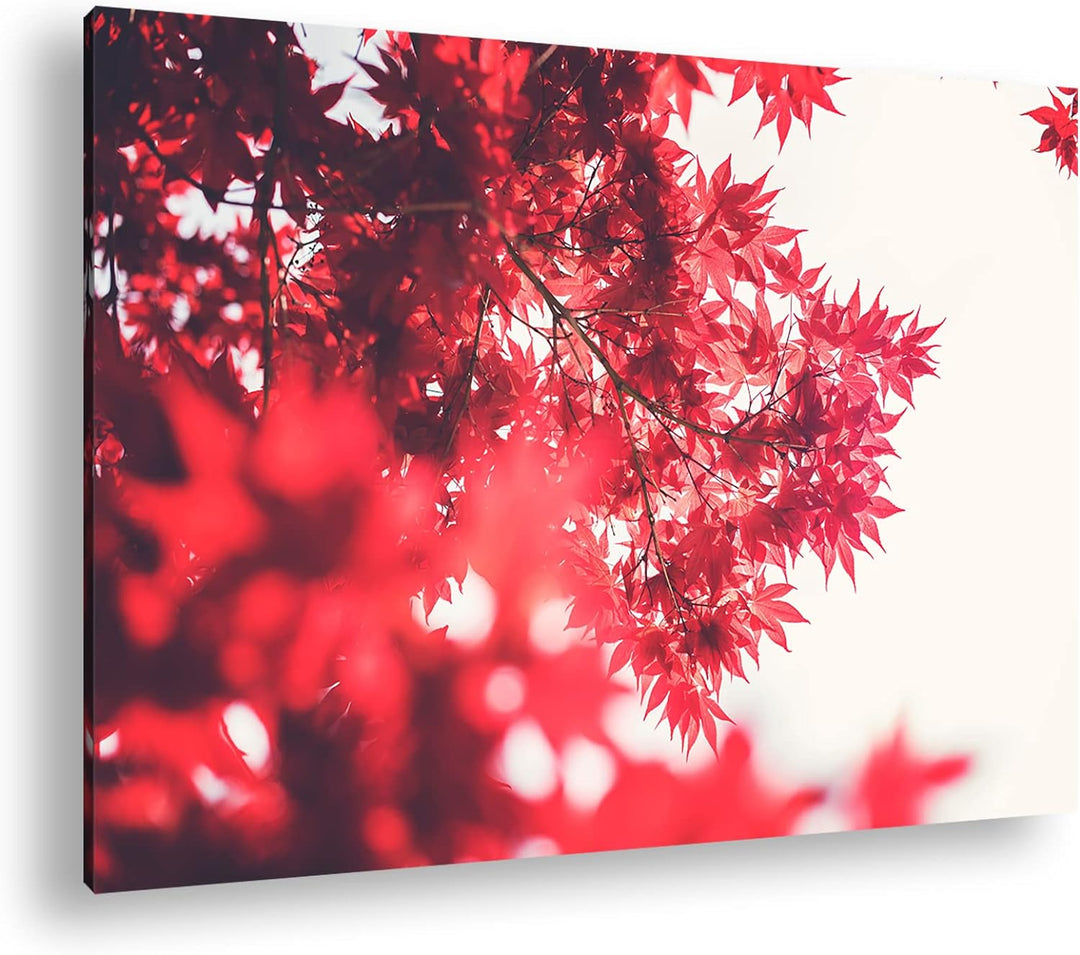 deyoli durch das rotschimmernde Blättergestrüpp Format: 80x60 als Leinwandbild, Motiv fertig gerahmt