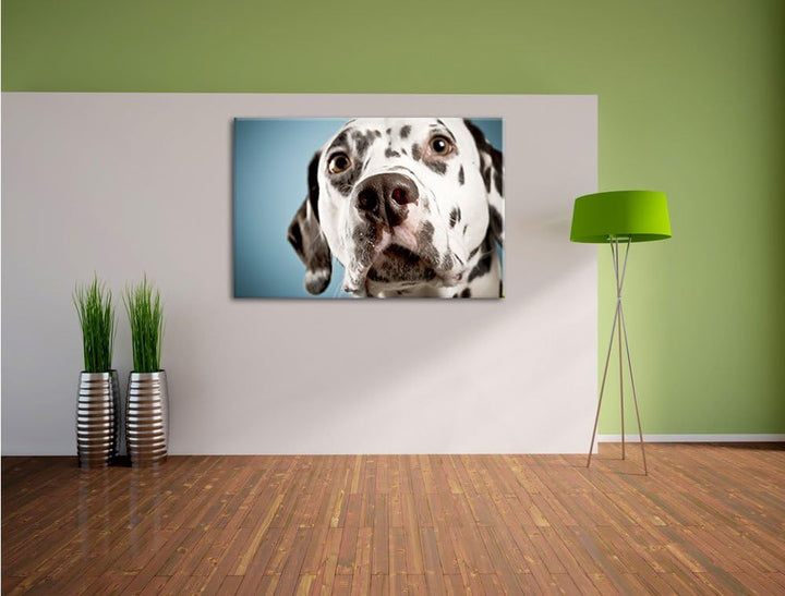 Süsser Dalmatiner Format: 100x70 auf Leinwand, XXL riesige Bilder fertig gerahmt mit Keilrahmen, Kun