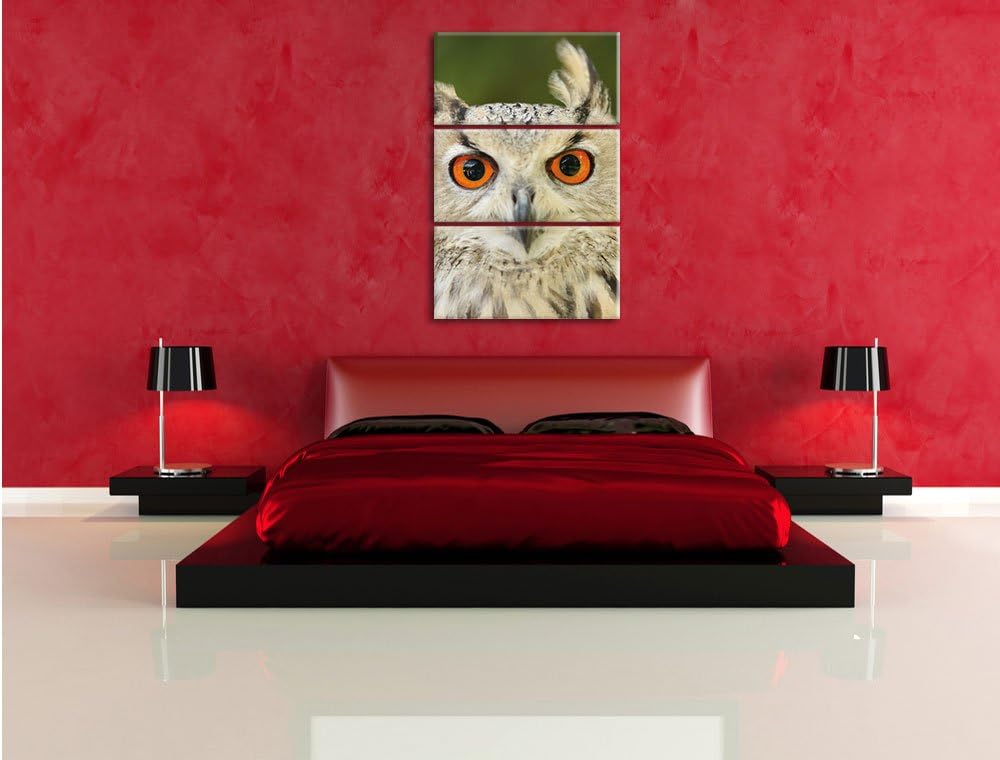 Pixxprint Eulen Kautz Orange Augen als Leinwandbild/Grösse: 3 Teilig (120x80) cm/Wandbild/Kunstdruck