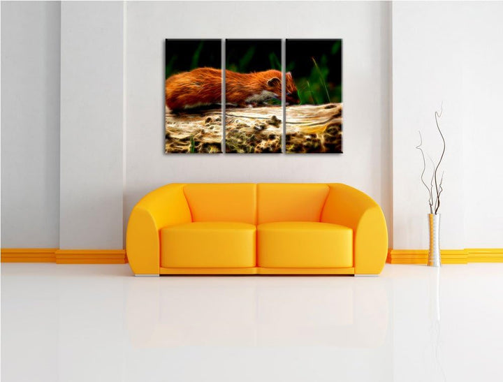 Niedliches Frettchen 3 Teilig, Gesamtgrösse 120x80 cm auf Leinwand, XXL riesige Bilder fertig gerahm