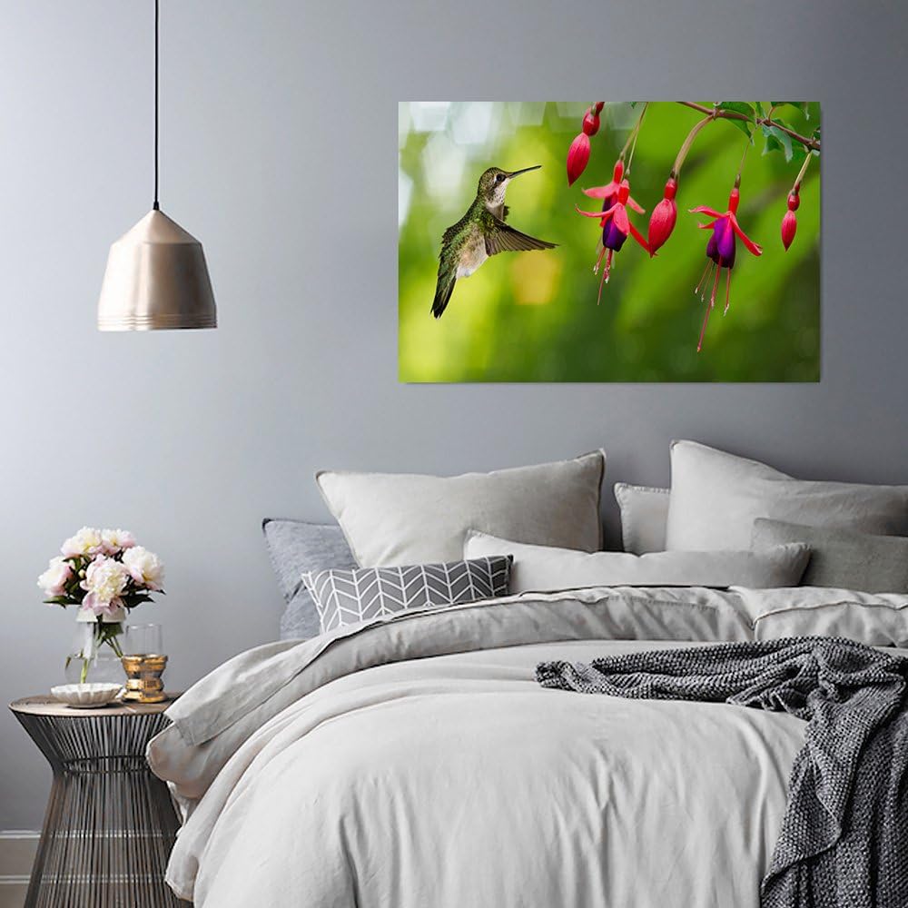 Feeby Frames, Leinwandbild, Bilder, Wand Bild, Wandbilder, Kunstdruck 60x80cm, VOGEL, KOLIBRI, TIERE