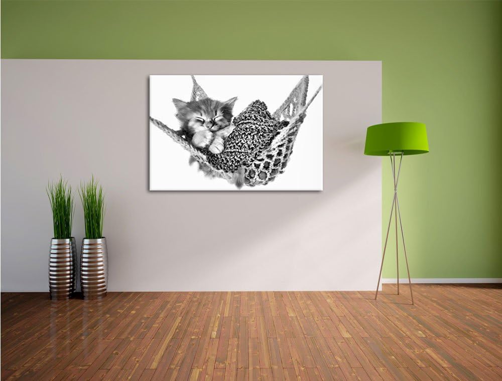 Pixxprint Katzenbaby Hängematte als Leinwandbild/Grösse: 100x70 / Wandbild/Kunstdruck/fertig bespann