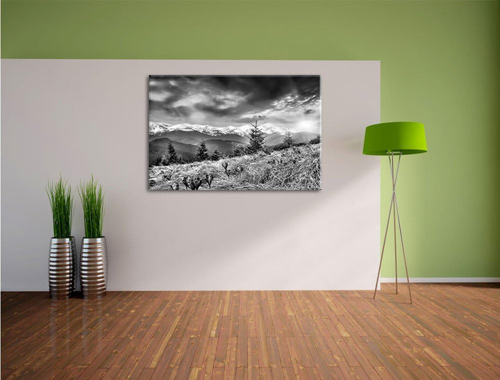 Pixxprint Monocrome, Krokusse auf Hochalmwiese in Alpen, Format: 100x70 auf Leinwand, 100x70