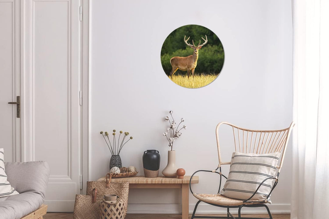 MuchoWow Wandbild Rund Wanddeko Deko Wohnzimmer Bilder 30x30 cm Hirsch - Geweih - Gras - Natur - Tie