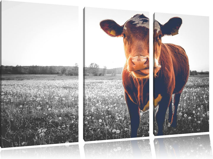Pixxprint Kuh auf Butterblumenwiese als Leinwandbild/Grösse: 3 Teilig (120x80 cm) cm/Wandbild/Kunstd