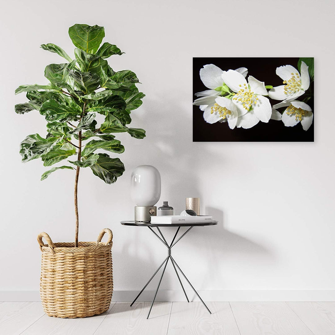 Feeby Wandbild Orchideen Druckbild Leinwandbild für Schlafzimmer Weiss 100x70 cm Leinwandbild 100x70