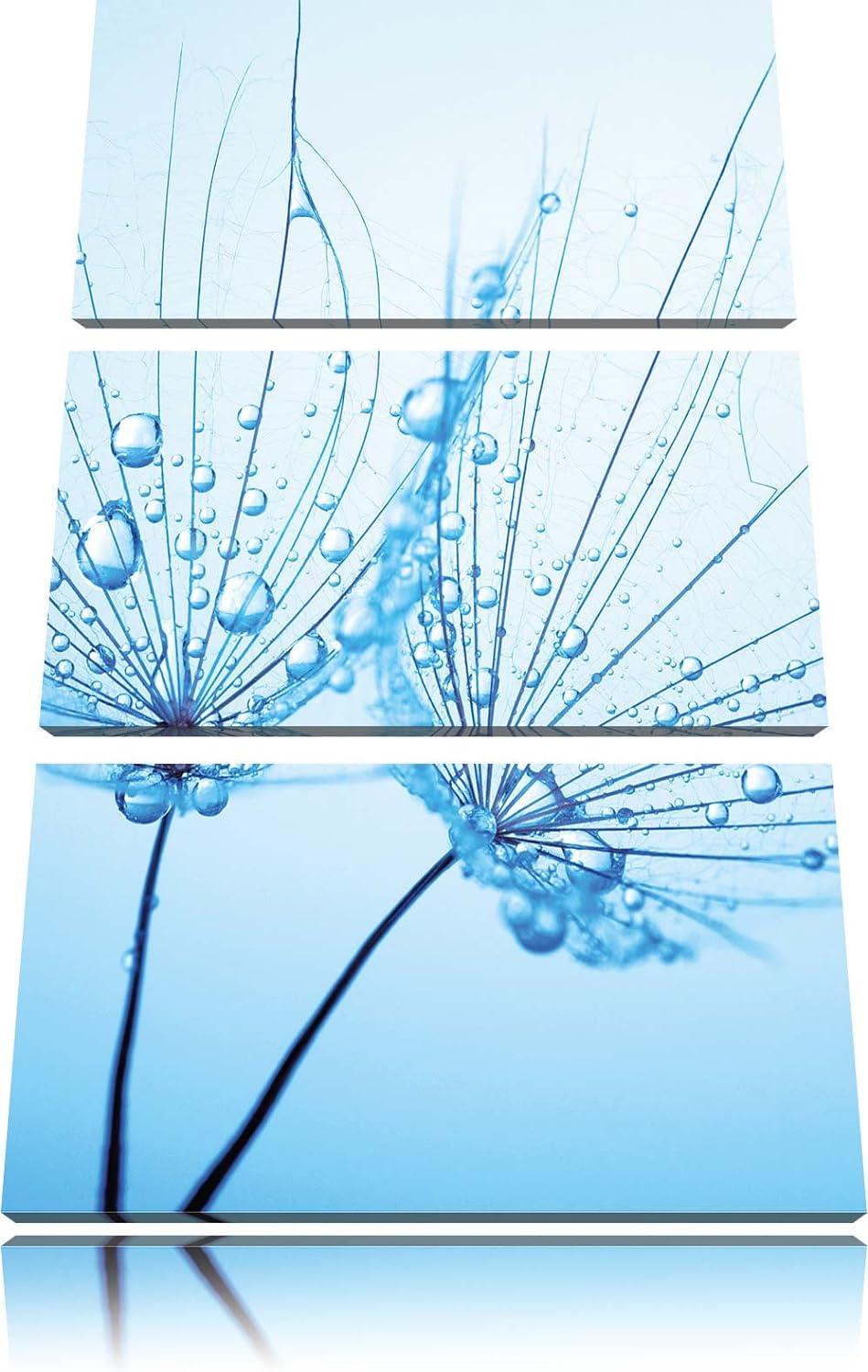 Pixxprint Pusteblumen mit Tautropfen 3-Teiler Leinwandbild 120x80 Bild auf Leinwand