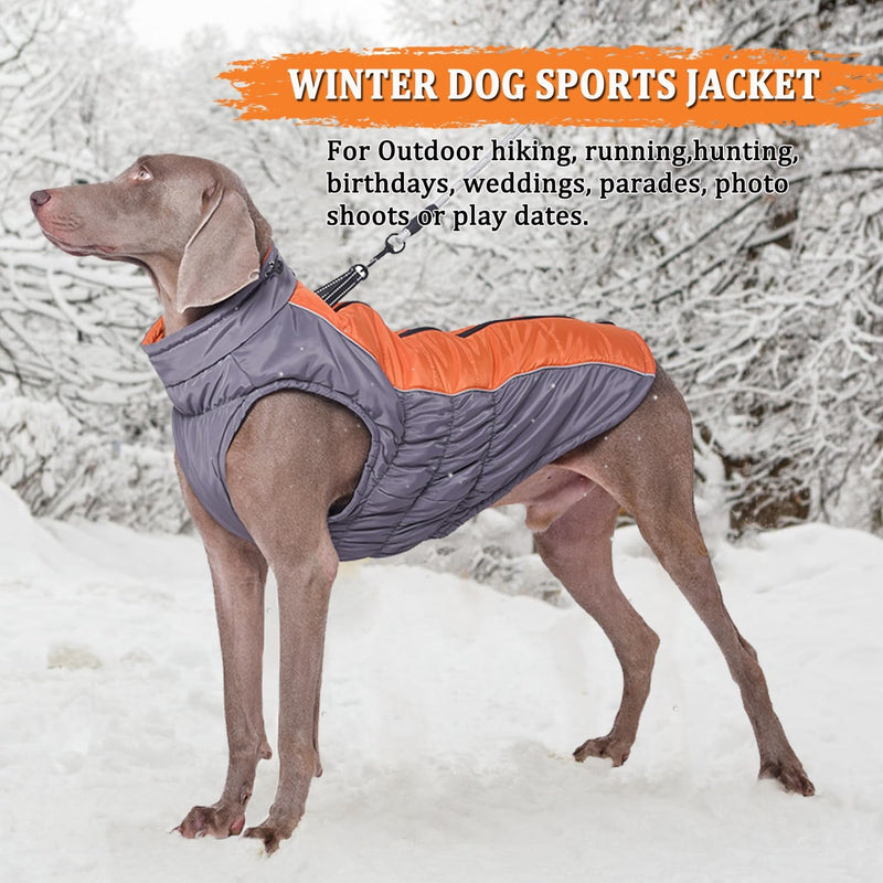 Vivi Bear Wasserdichter Hundemantel Winter Warme Hundejacke, Hundebekleidung Outfit für Mittel Gross