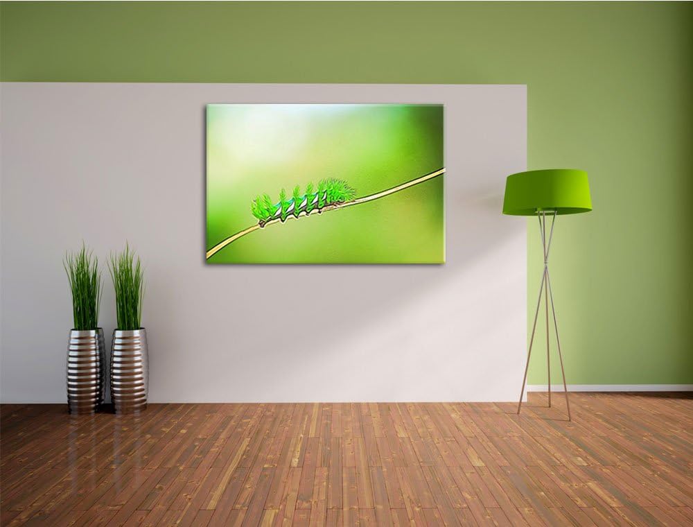 seltene grüne Raupe Deluxe Format: 100x70 cm auf Leinwand, XXL riesige Bilder fertig gerahmt mit Kei
