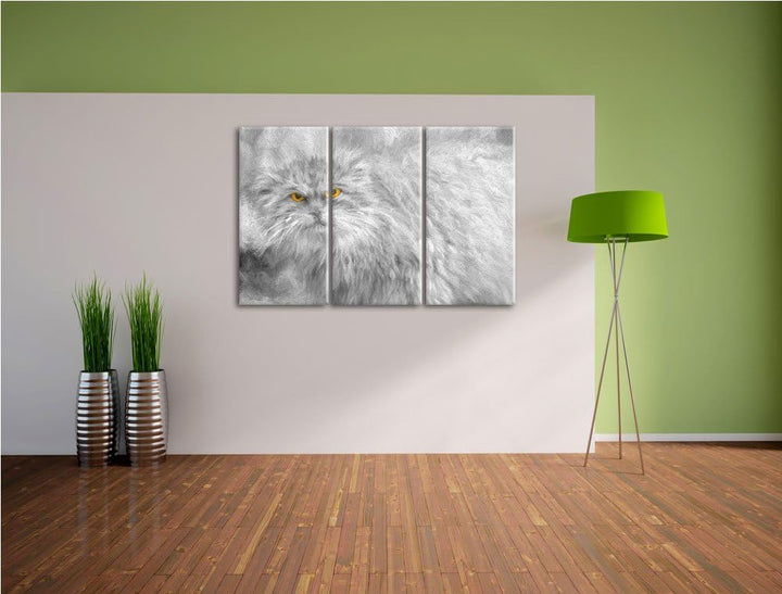 wütende kleine Manul schwarz/weiss Deluxe 3-Teiler Leinwandbild 120x80 Bild auf Leinwand, XXL riesig