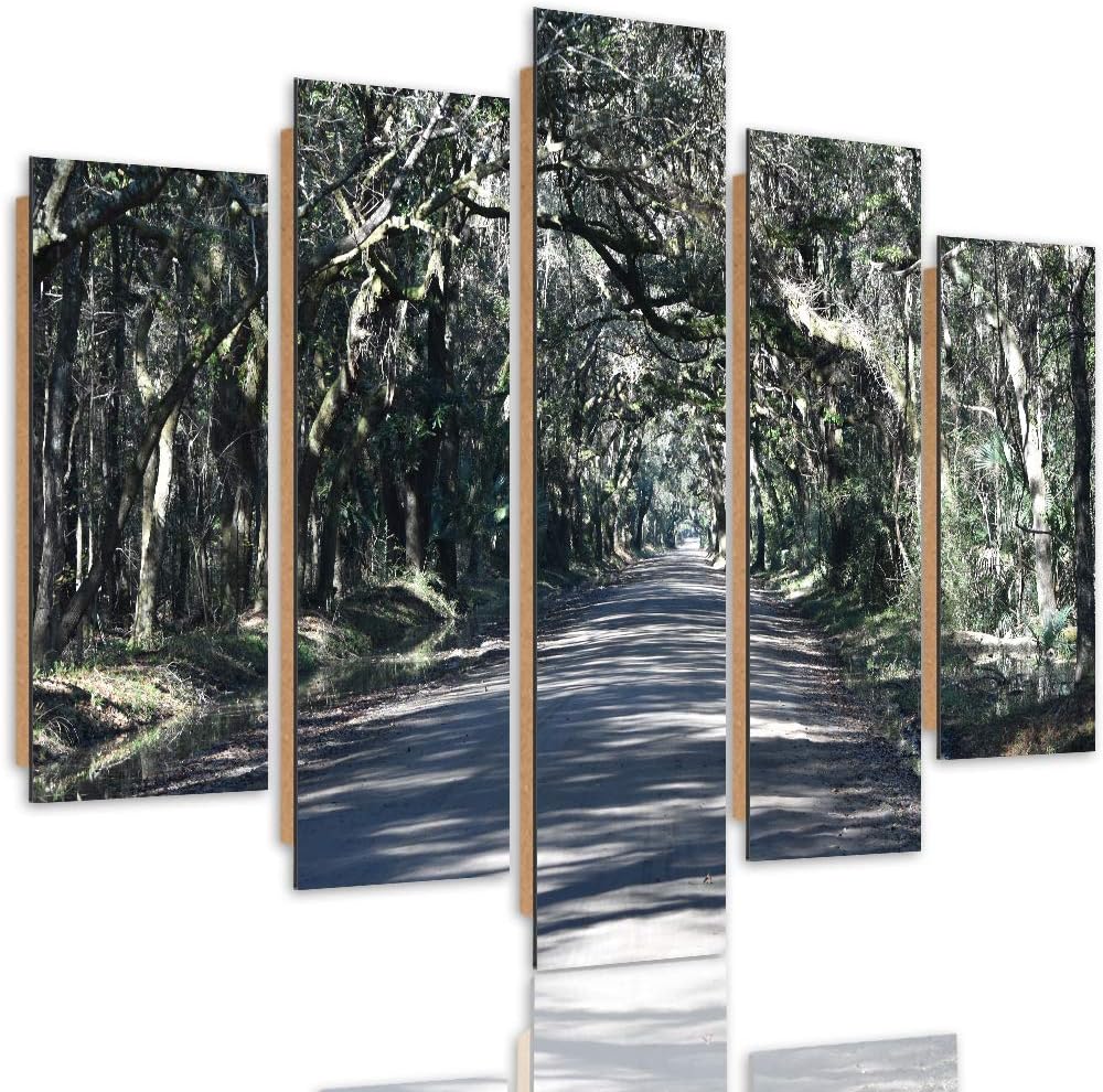 Bilder 5 Teilig Landschaft Deco Panel Kunst Weg Allee Wald Bäume grün 100x70 cm Deco panel 100x70 cm