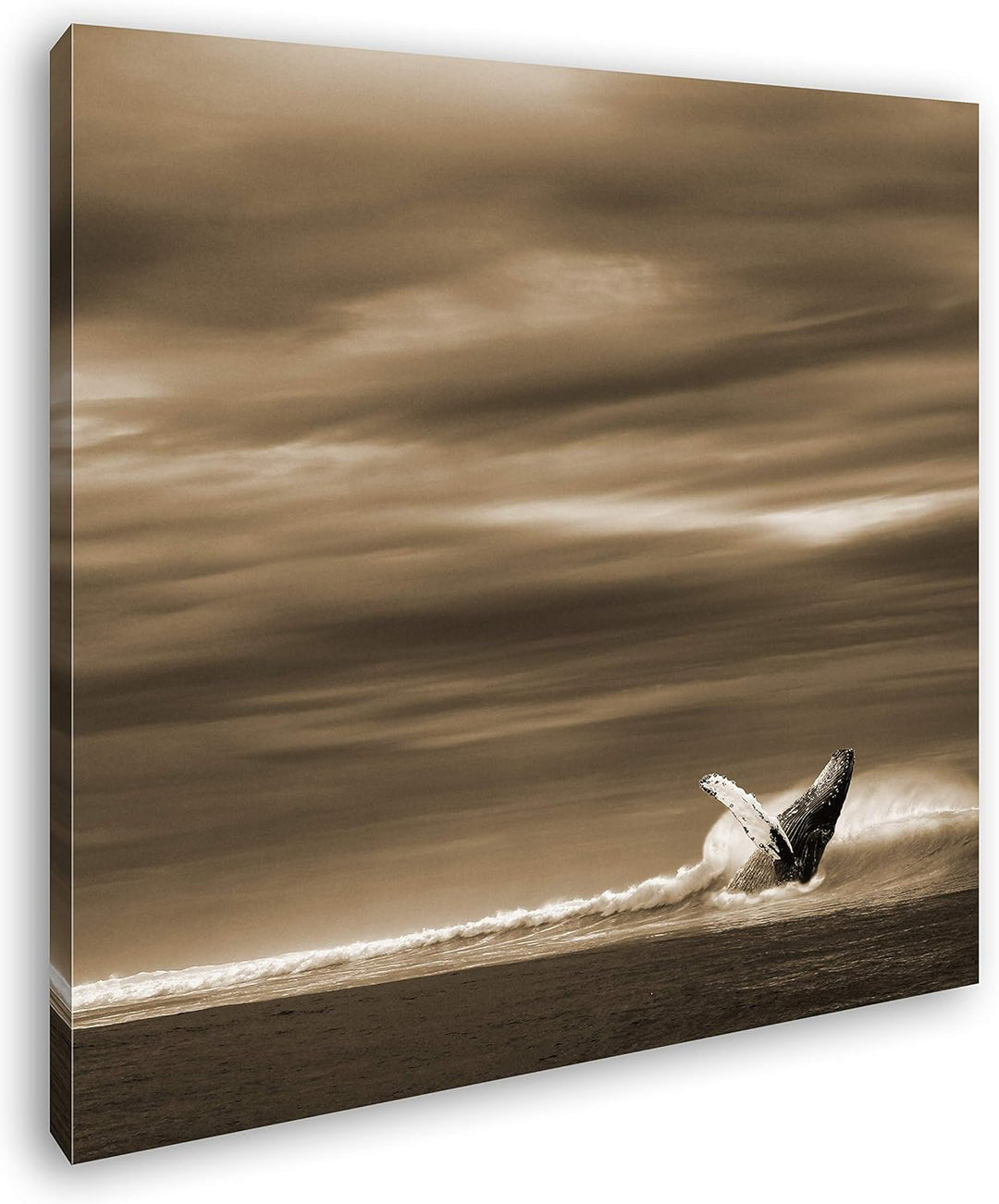 deyoli einsamer Wal Format: 70x70 Effekt: Sepia als Leinwandbild, Motiv fertig gerahmt auf Echtholzr