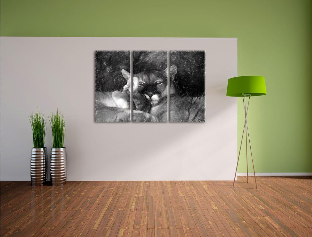 Pixxprint verschlafenes Puma Paar Kunst als Leinwandbild/Grösse: 3 Teilig (120x80) / Wandbild/Kunstd