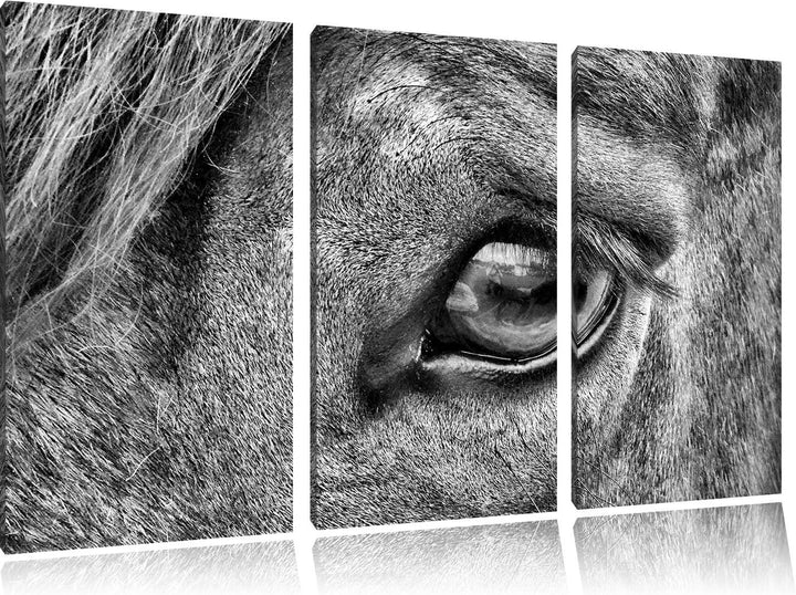 Pixxprint sanfte grosse Pferdeaugen als Leinwandbild/Grösse: 3 Teilig (120x80) / Wandbild/Kunstdruck