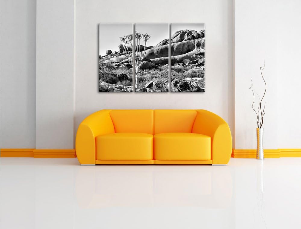 Pixxprint Monocrome, aussergewöhnlicher Baum im Steingebirge 3-Teiler Leinwandbild 120x80 Bild auf L