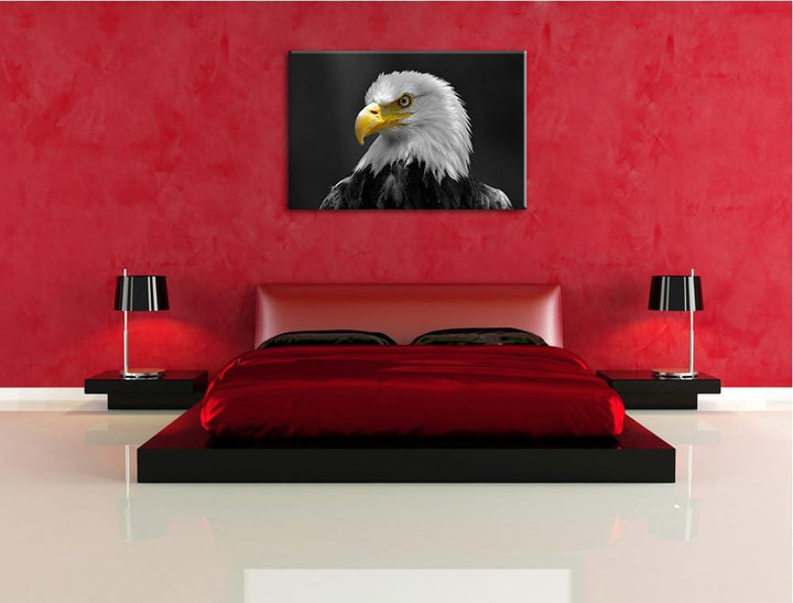 eindrucksvoller Weisskopfseeadler schwarz/weiss Format: 100x70 auf Leinwand, XXL riesige Bilder fert