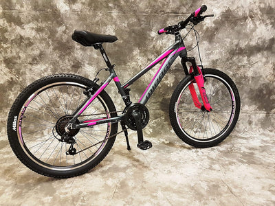 26 Zoll ALU Damen MTB Gefedert mit 21-Gang Kettenschaltung Shimano Daumenklick Schaltung NEU 2666-AN