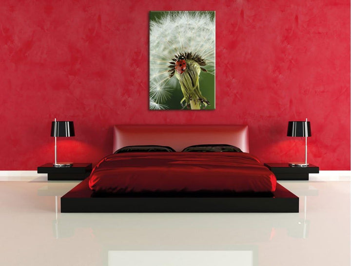 Pixxprint Marienkäfer auf Pusteblume / 100x70cm Leinwandbild bespannt auf Holzrahmen/Wandbild Kunstd