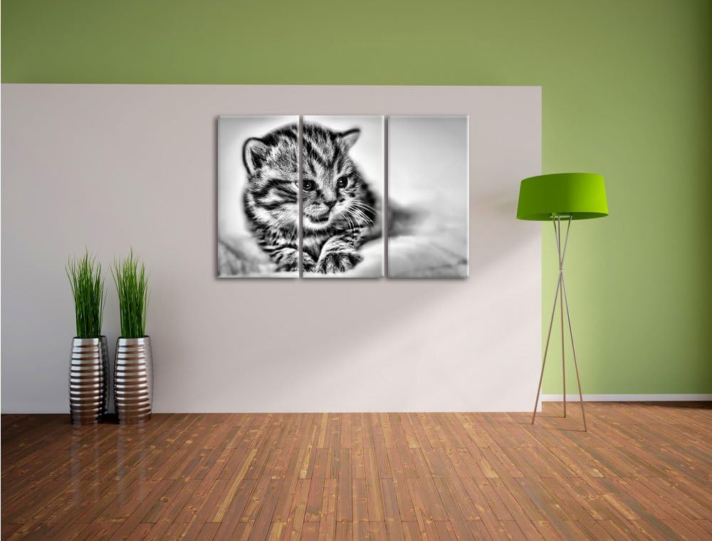 Pixxprint kleines Kätzchen auf weisser Decke als Leinwandbild/Grösse: 3 Teilig (120x80) cm/Wandbild/