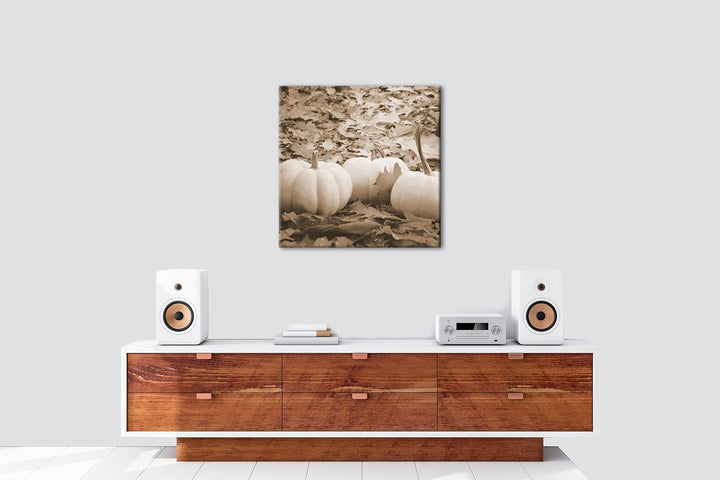 deyoli Herbstliche Kürbise Effekt: Sepia Format: 60x60 als Leinwandbild, Motiv fertig gerahmt auf Ec