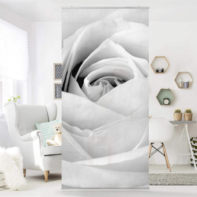 Bilderwelten Raumteiler Close Up Rose 250x120cm ohne Halterung 250x120cm without hanger, 250x120cm w