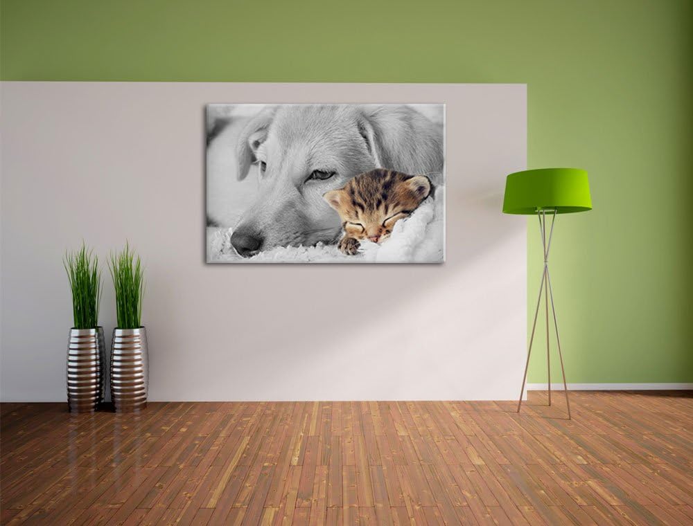 Pixxprint Träumendes Kätzchen neben Hund als Leinwandbild/Grösse: 100x70 cm/Wandbild/Kunstdruck/fert