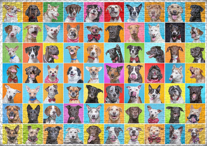 Ulmer Puzzleschmiede - Puzzle „Bunter Hund“– Klassisches 1000 Teile Puzzle – Puzzlemotiv als Collage