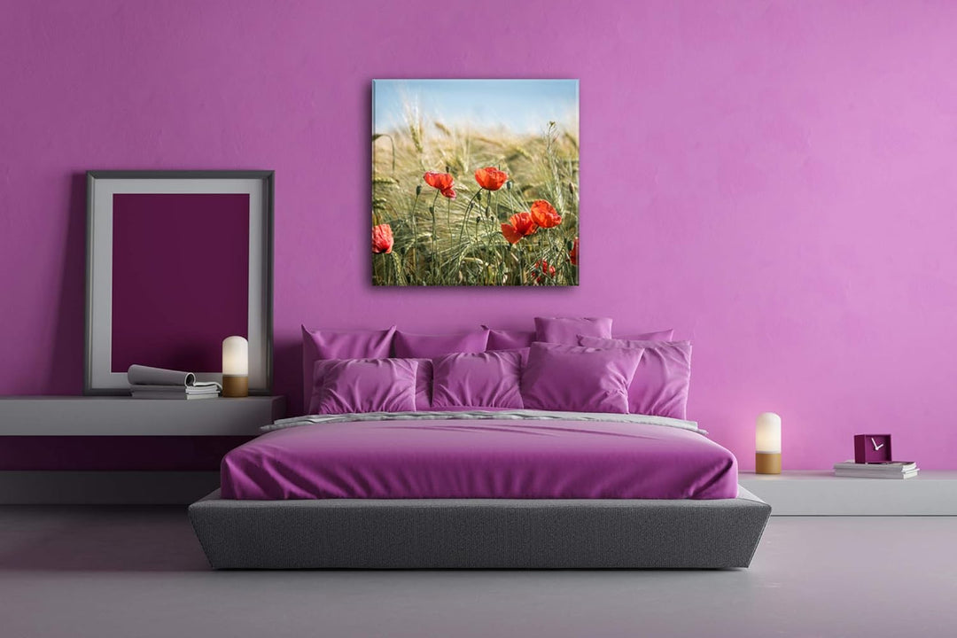 deyoli zarte Mohnblumen im Getreidefeld Format: 70x70 als Leinwand, Motiv fertig gerahmt auf Echthol