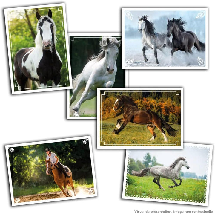 Panini 004626BOX36F Pferde 2023 Box mit 36 Taschen