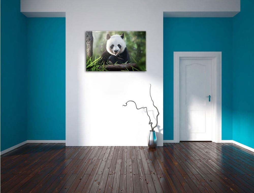 Pixxprint Niedlicher Panda isst Bambus / 100x70cm Leinwandbild bespannt auf Holzrahmen/Wandbild Kuns