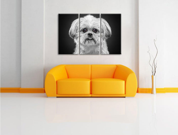 Pixxprint lustiger Kleiner Hund als Leinwandbild | Grösse: 3 Teilig (120x80) | Wandbild| Kunstdruck