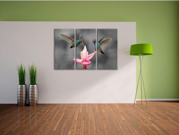 Pixxprint Kolibris in den Tropen als Leinwandbild/Grösse: 3 Teilig (120x80) cm/Wandbild/Kunstdruck/f