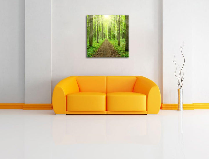 Pixxprint Sonnenlicht bricht in den Wald herein, Format: 70x70 auf Leinwand, 70x70